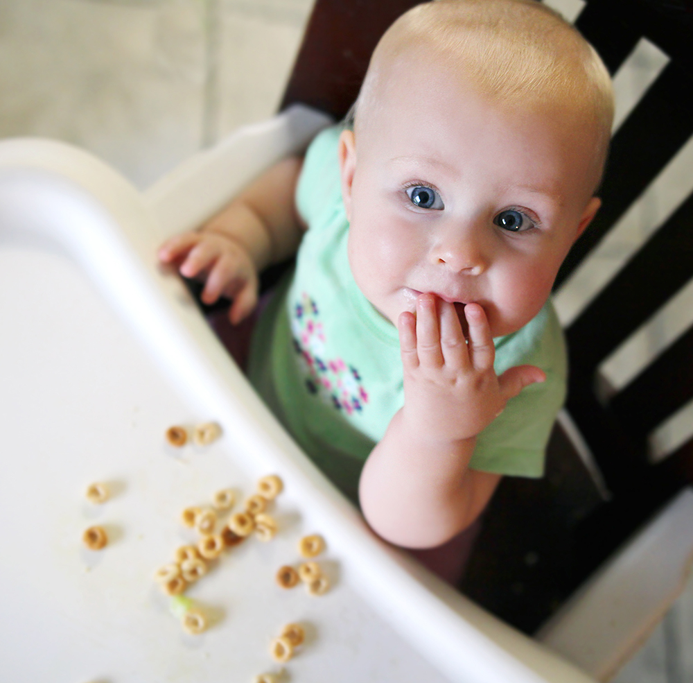 Feeding-a-8-9